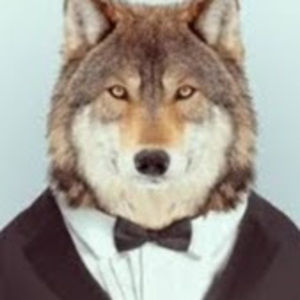 Meet your Posher, Cody